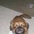 Remington (Remi)