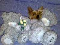 Valentino (Tino)
