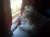 looking out the window in the morning