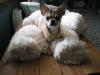 My bear. Back off!!