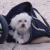 Coby