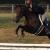 Amazing Grace (Jolie)