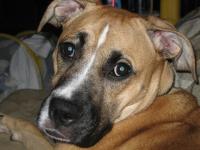 Maddux