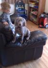 Did you say "OFF" the sofa?