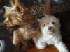 with Zola