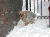 2/17/03 in the snow