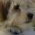 Koby