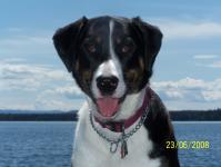 Daisy Mae