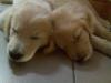 i miss my babiiiesss