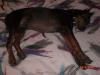 on mom and dad's water bed! i ownnn