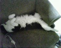 Oreo "Cracky" McKelvey
