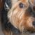 Eddie