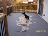 I was a baaaaad puppy. :(
