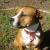 Ginga (R.I.P My Pretty Girl)