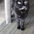 Ginny (1996-2008)