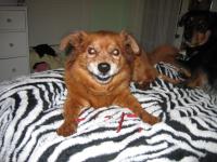 Gidget Ann Mouton