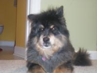 Bella Brown