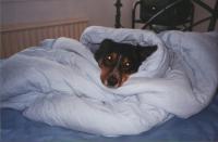 Charlee