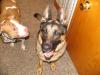 Blaze and Kane