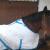 ASTOR