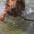 Bailey