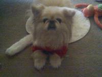 Oliver
