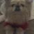 Oliver