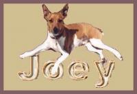 Joey