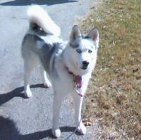 Mya Boo Boo