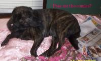 Jack (Samari Jackson )