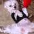 Coco the Diva!