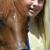 Red Pony
