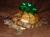 Cesear (Yeah I'm a turtle - and the best looking turtle ever!)