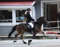 Heljar