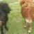 Bubbles and Titch