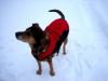 "Snow time?"