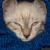 Oliver Bennington McNulty