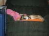 I caught her while she was sleeping...