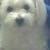 Riley
