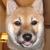 FOXI