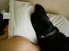 spoiled dog sleeps on a pillow!