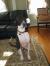 Lola Bean Smith
