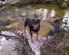 Zoey Bird on the brook