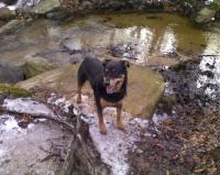 Zoey