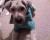 Charlie