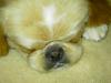 Snoozin'