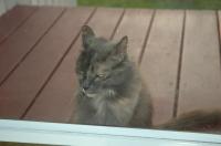 Kitty Murray
