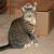 Methos