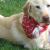 Tucker