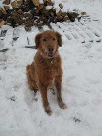 Colby